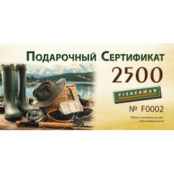 Подарочный сертификат 2500 рублей. Подарочный сертификат 2500 рублей.